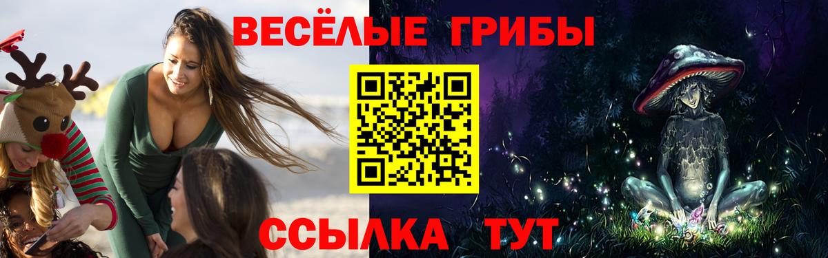 Псилоцибиновые грибы MAGIC MUSHROOMS  Вход с VPN  Галлюциногенные грибы мицелий  Заволжье 